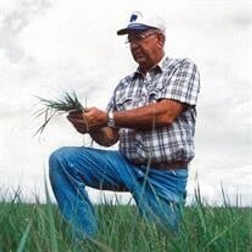 Daryl Lynn Evenson Profile Photo