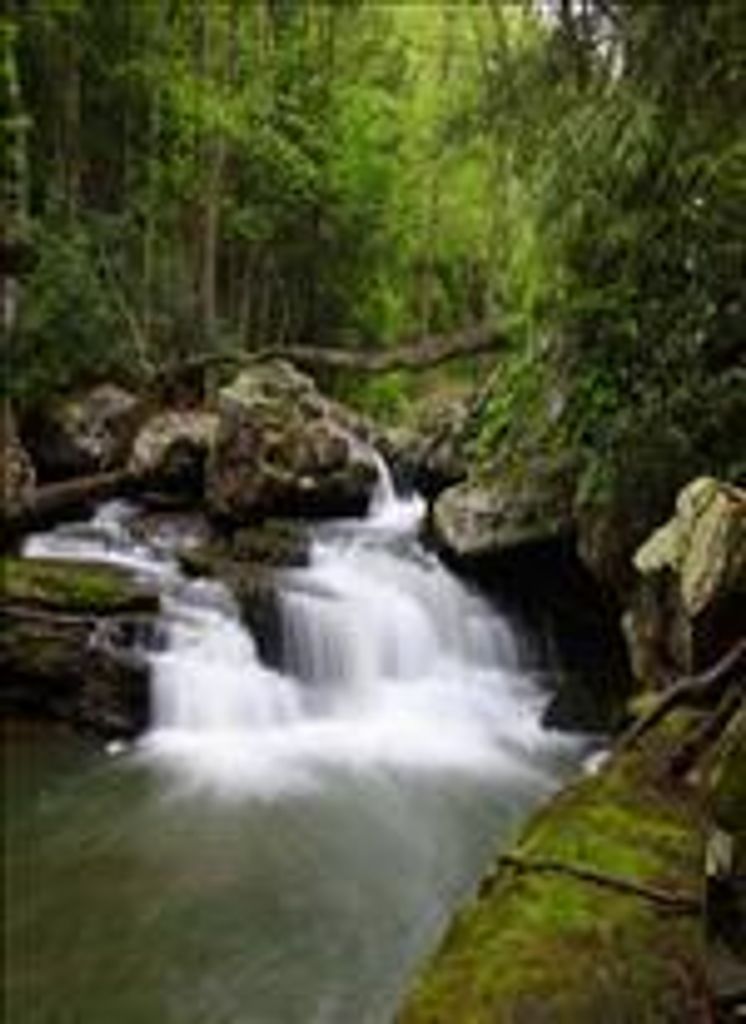 Thomas Hugh Elliott Iv