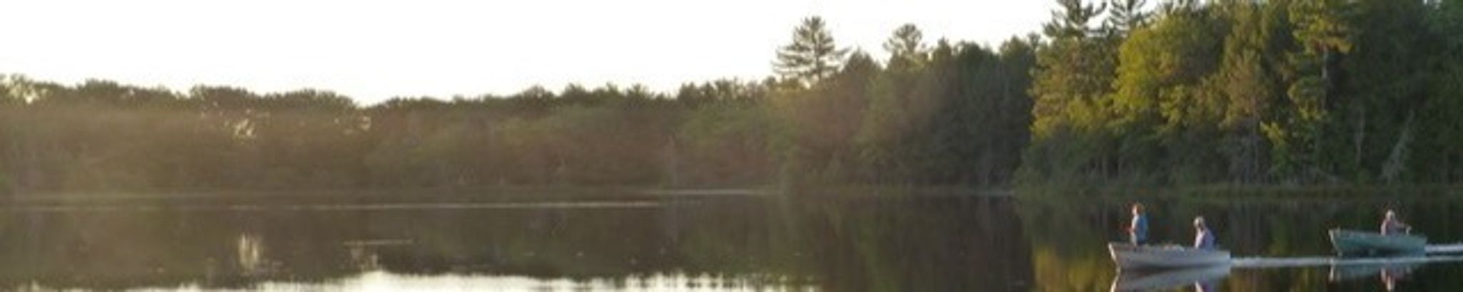 Cover for Alfred Johnson's Obituary