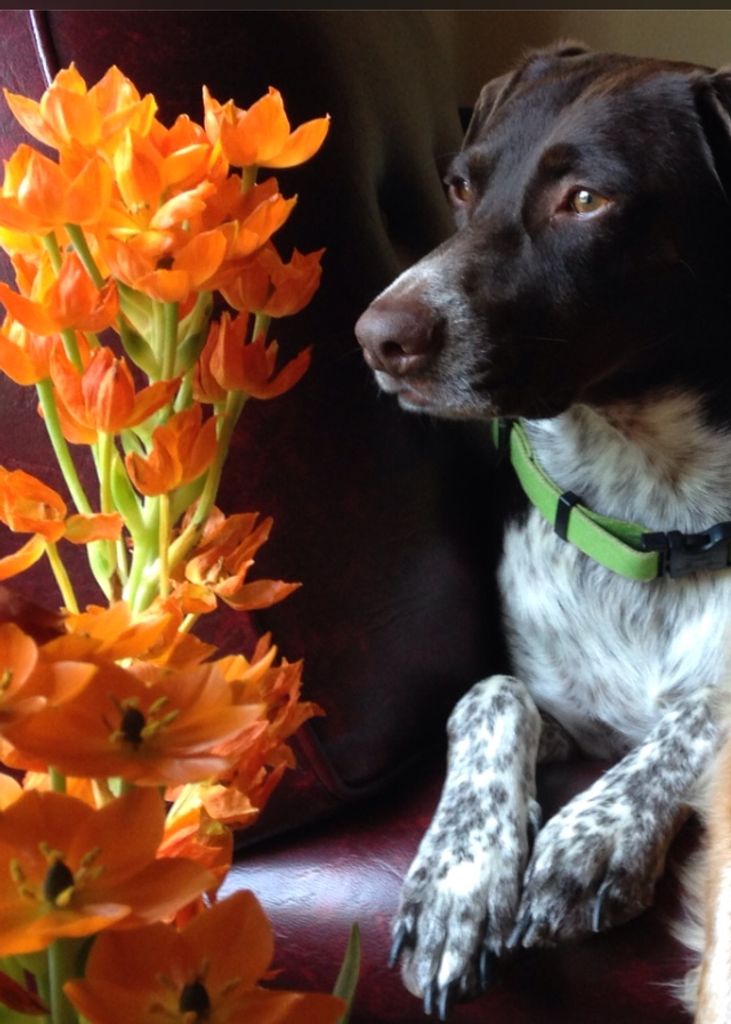Hazel Profile Photo