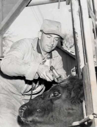 Russell Knuth photo gallery thumbnail 66 of 81