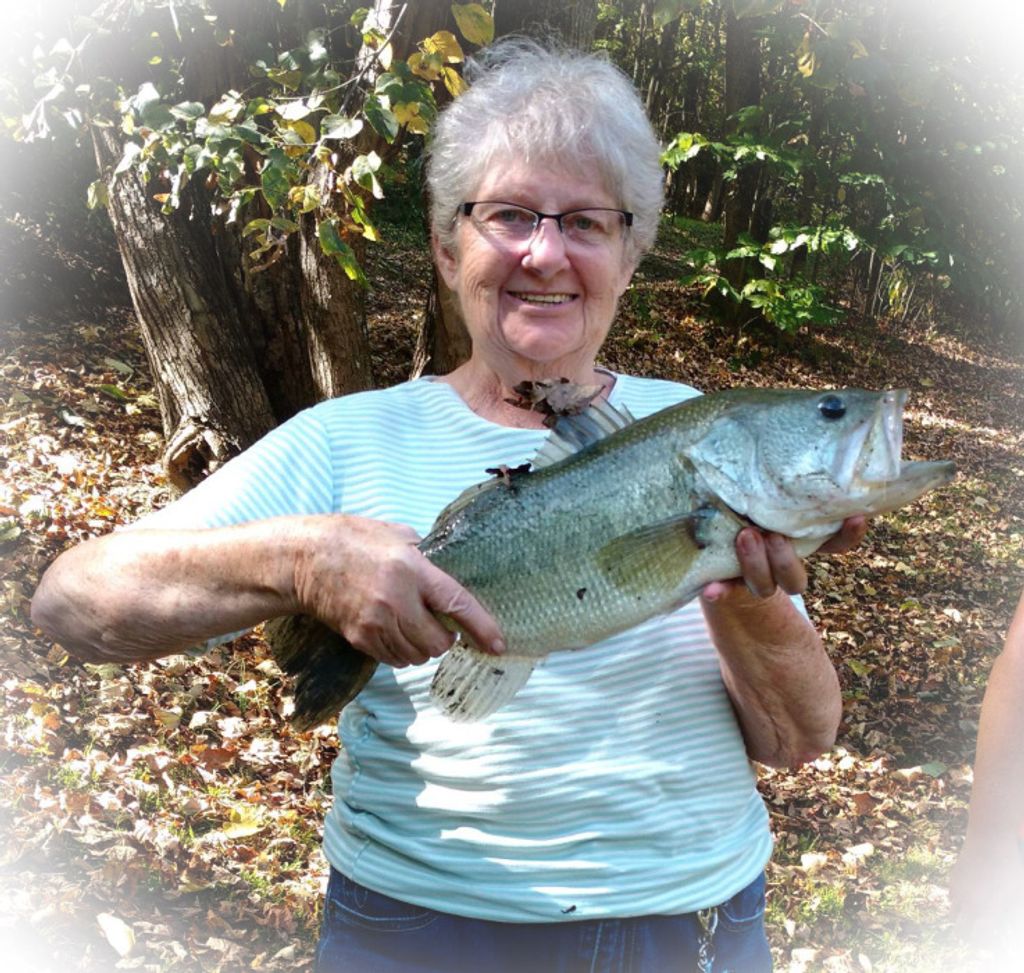 Paula J. Cooper Profile Photo