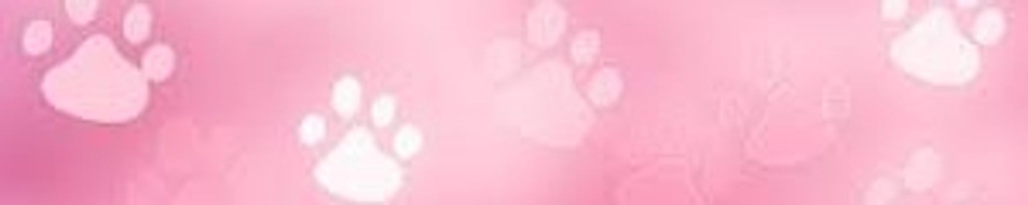 Cover for Connie Dianne Passmore's Obituary