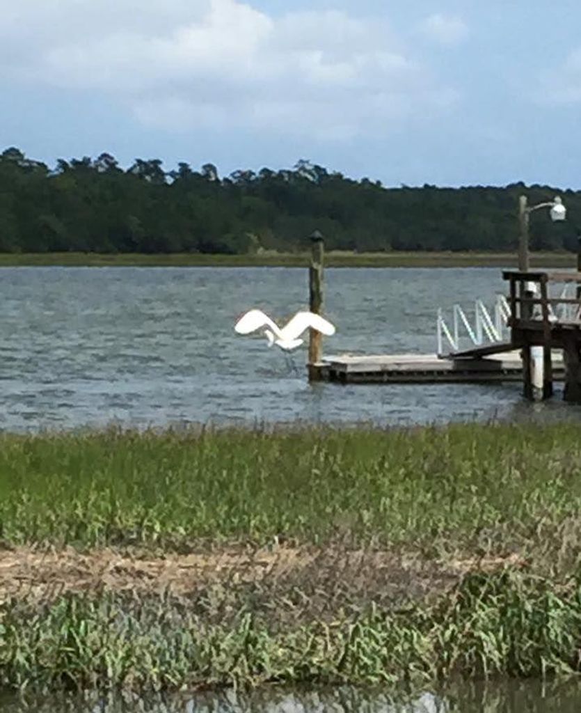 Petrina  “Pat” Bunting