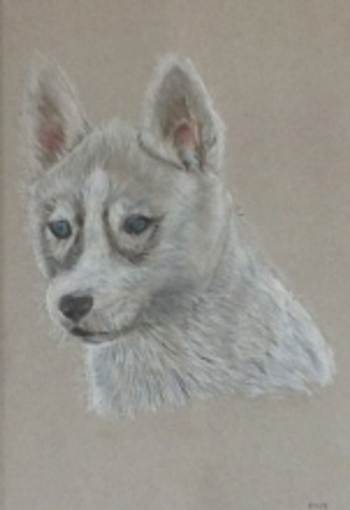 Blitz Barr Profile Photo