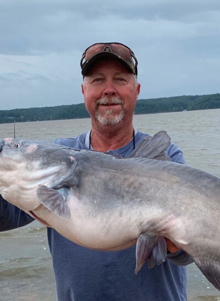 David Treadwell Profile Photo
