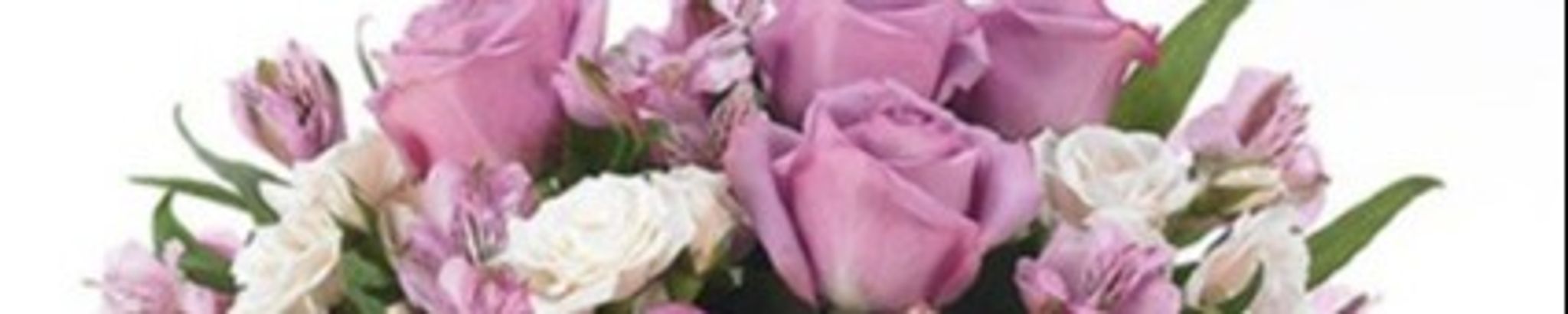 Cover photo for Maxine White's Obituary
