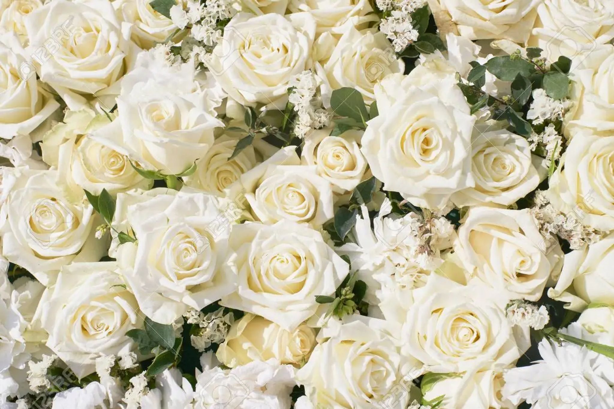 Cover photo for Mia Lashay Gray's Obituary