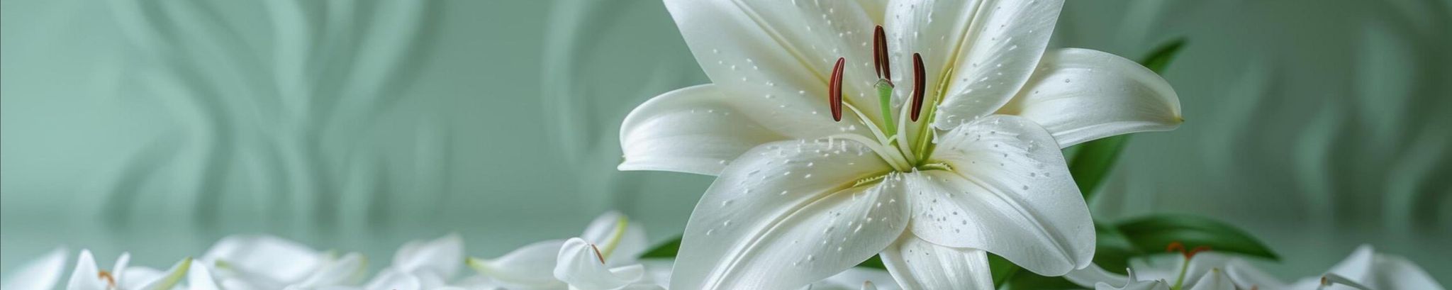 Cover photo for Cynthia "Cindy" J. Kulas's Obituary
