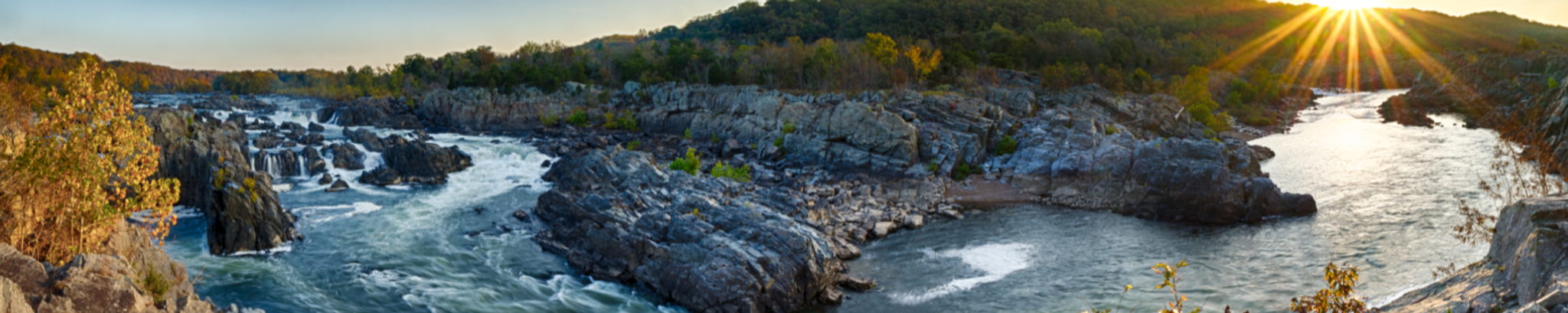 Cover for Ferdinand Augustus “Gus” Silcox Anderson's Obituary