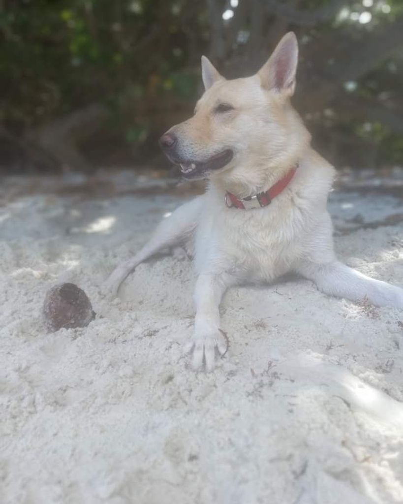 Rafiki Huffman Profile Photo