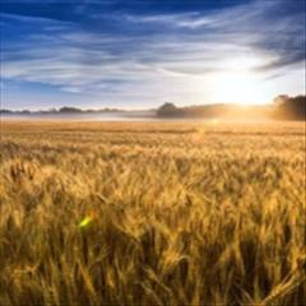 Anthony C. Bighorse Profile Photo