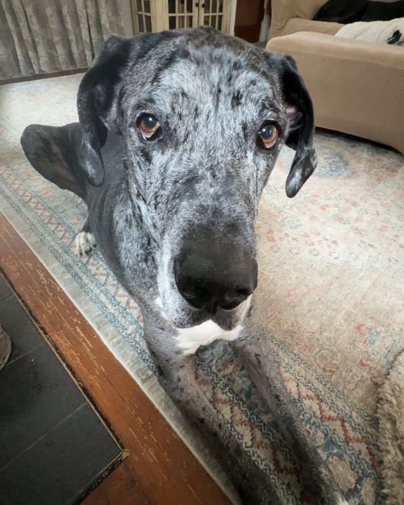 Murphy Profile Photo