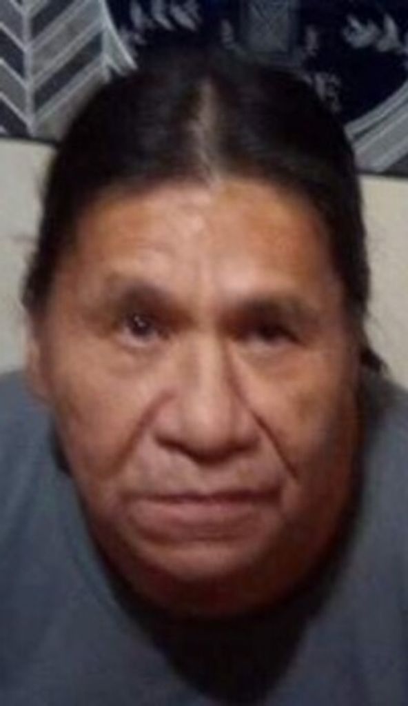 Terry Flying By Profile Photo