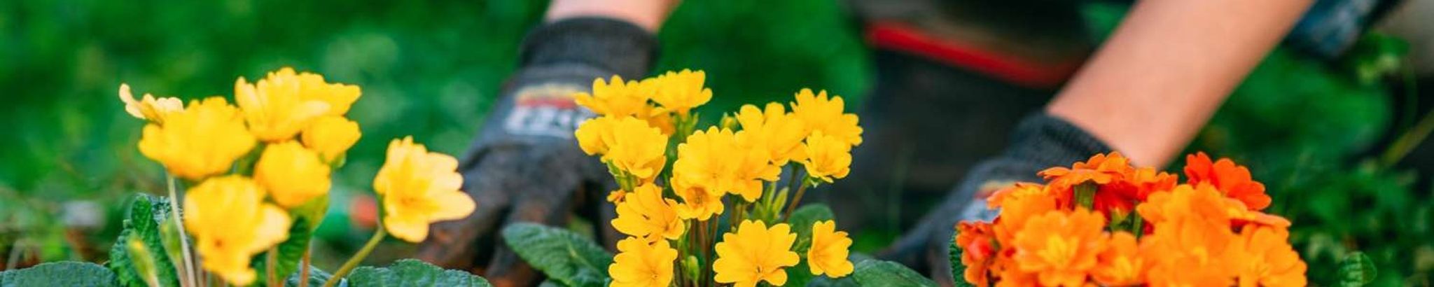 Cover photo for Vicki M. Mayerhoffer's Obituary
