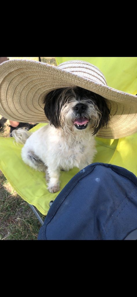 Daisy Profile Photo