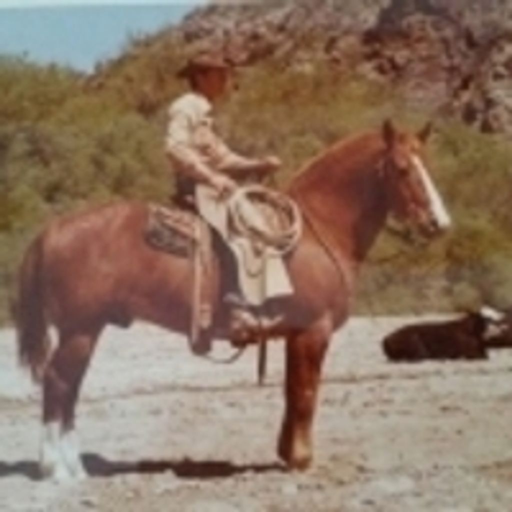 Robert Roy Fanning Profile Photo