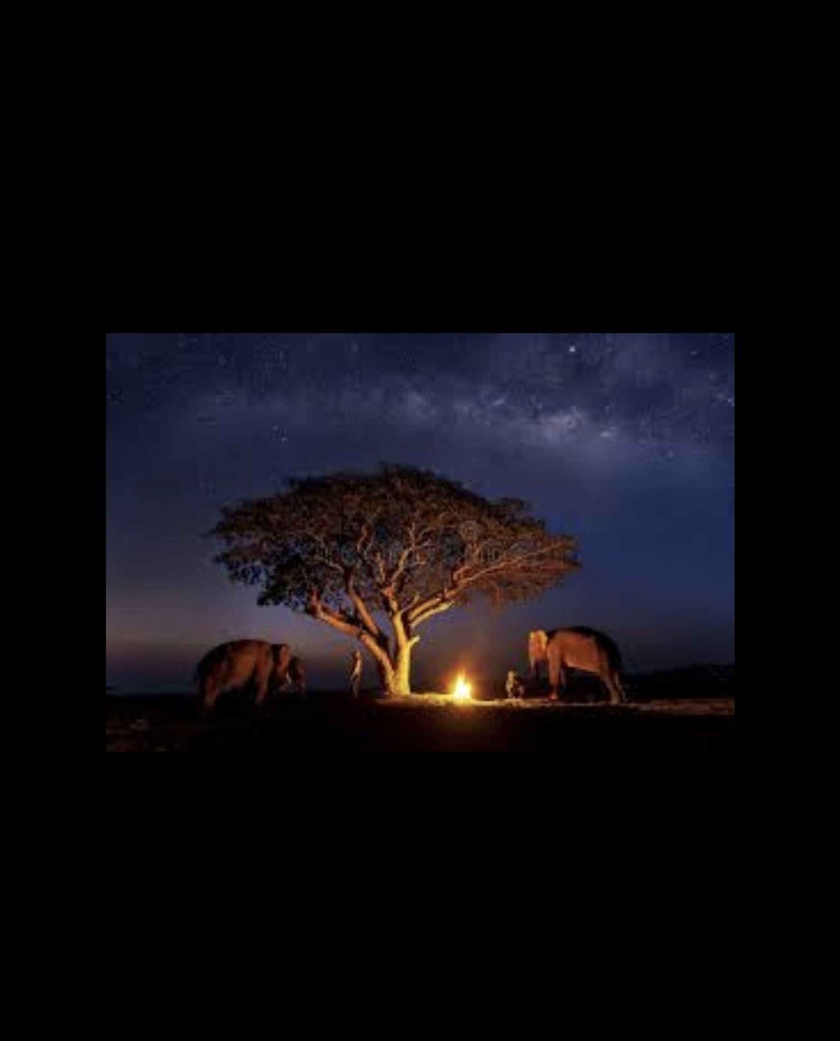 Cover for Linda L Runge's Obituary