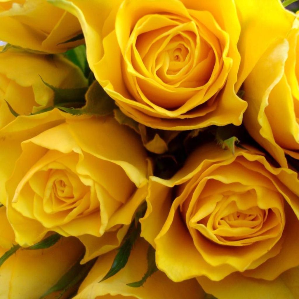 Wanda  Lee (Martin)  Lighty