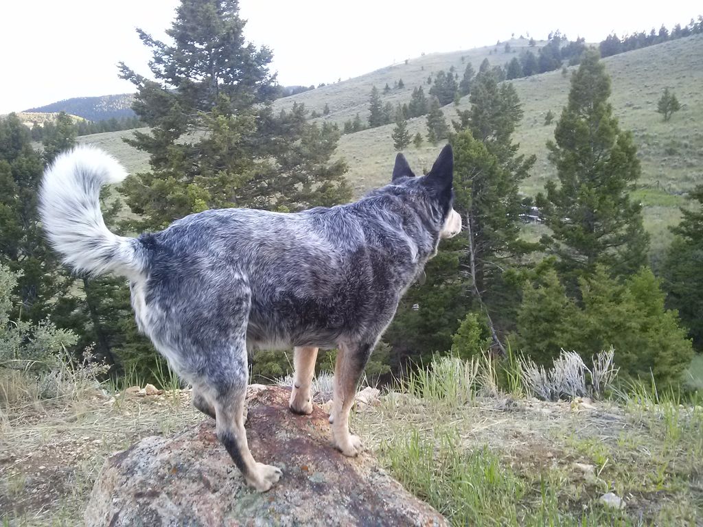 Bella Profile Photo