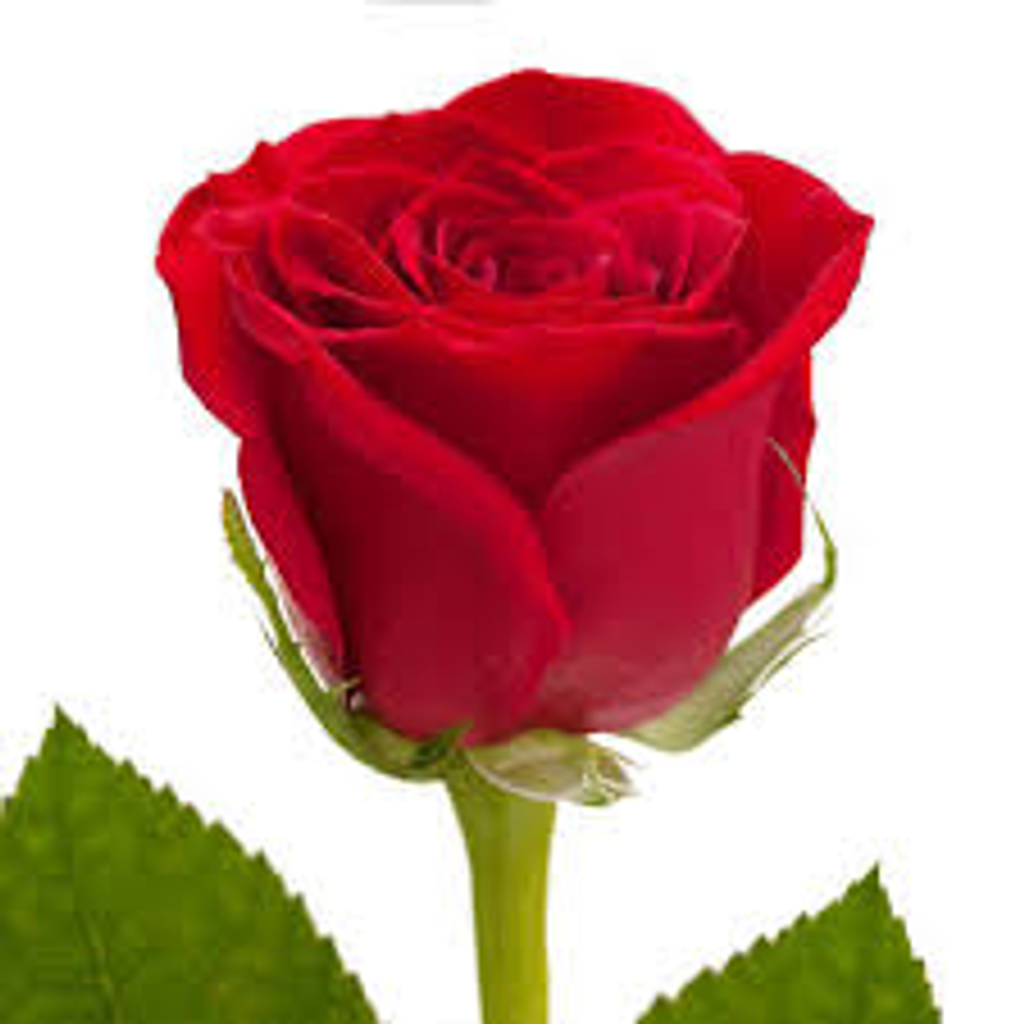 Nancy Flowers Profile Photo