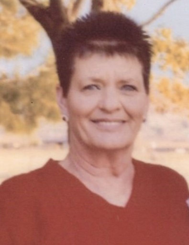 Terri Foster