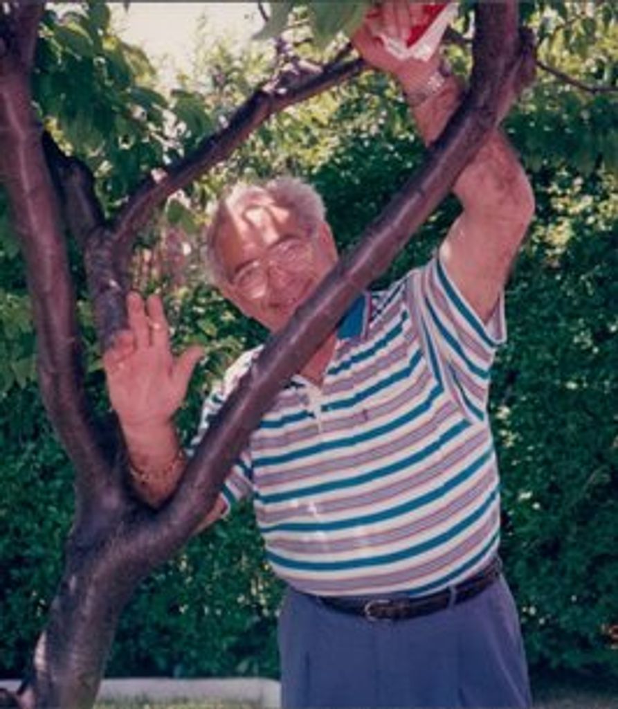 Antonio Pollari
