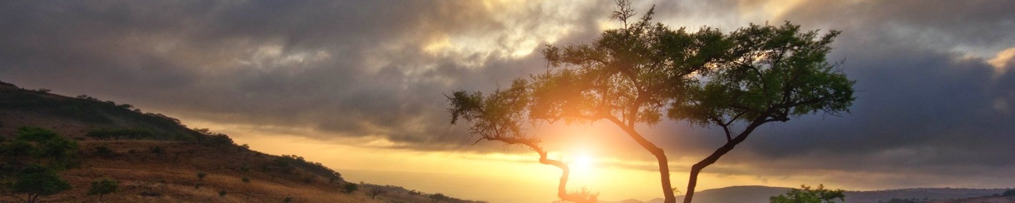 Cover for Albert U Egharevba's Obituary