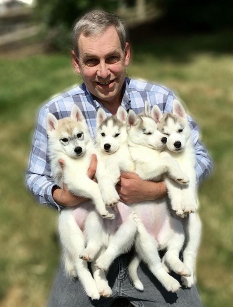 Michael S. Patton Profile Photo
