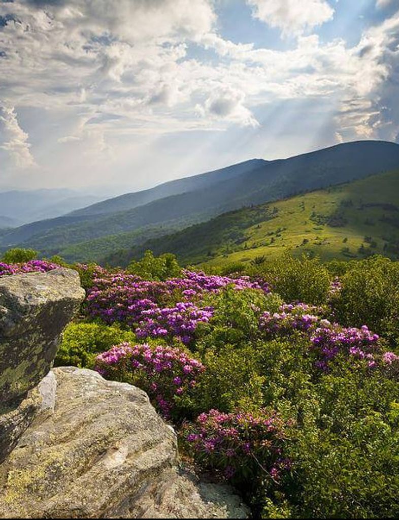 Michael Eugene Anderson Profile Photo