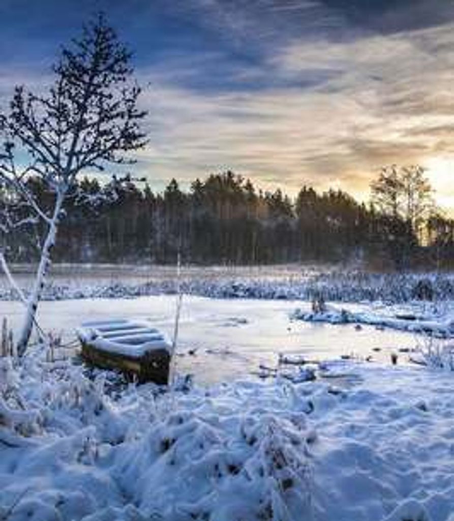 Thomas Popko Profile Photo