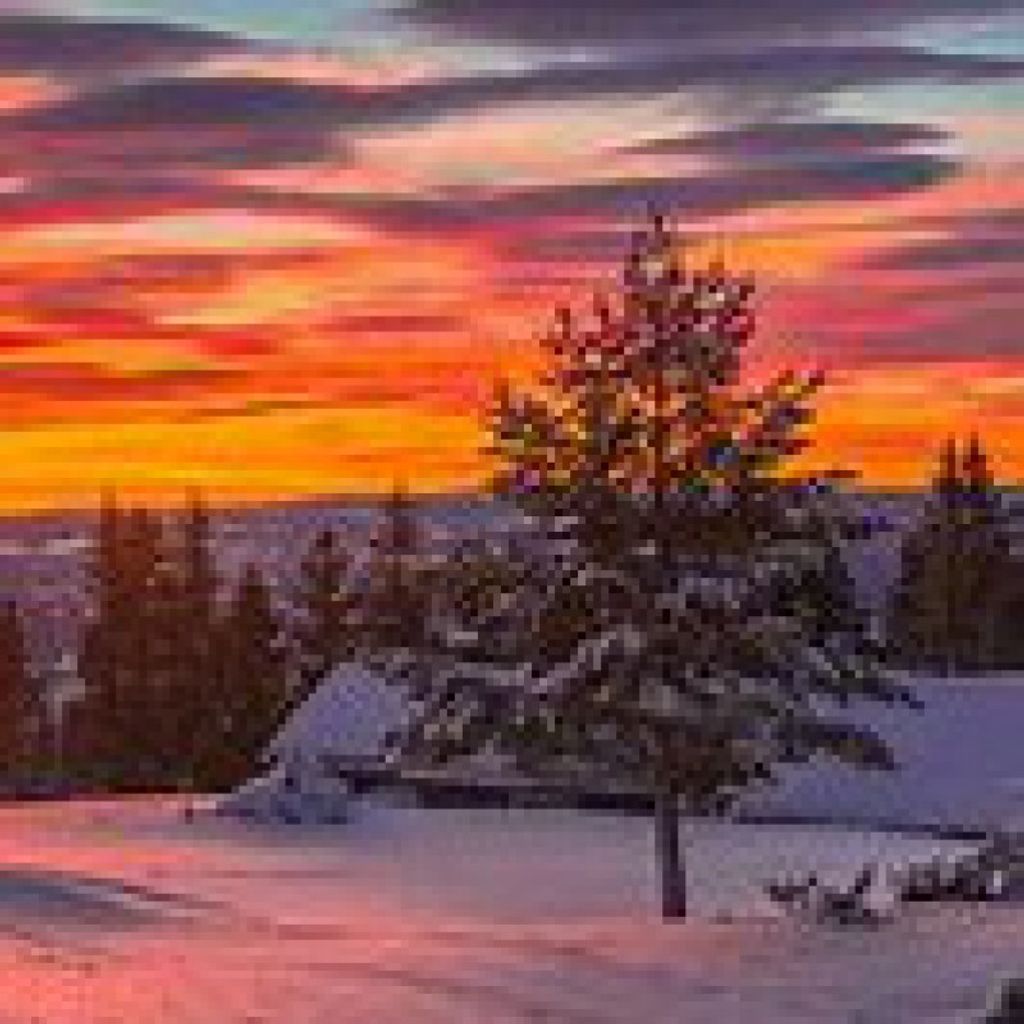 James Scott Roscher Profile Photo