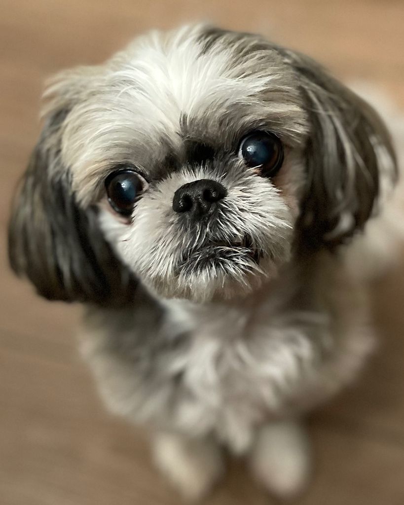 Isabella “Bella” McDonald Profile Photo