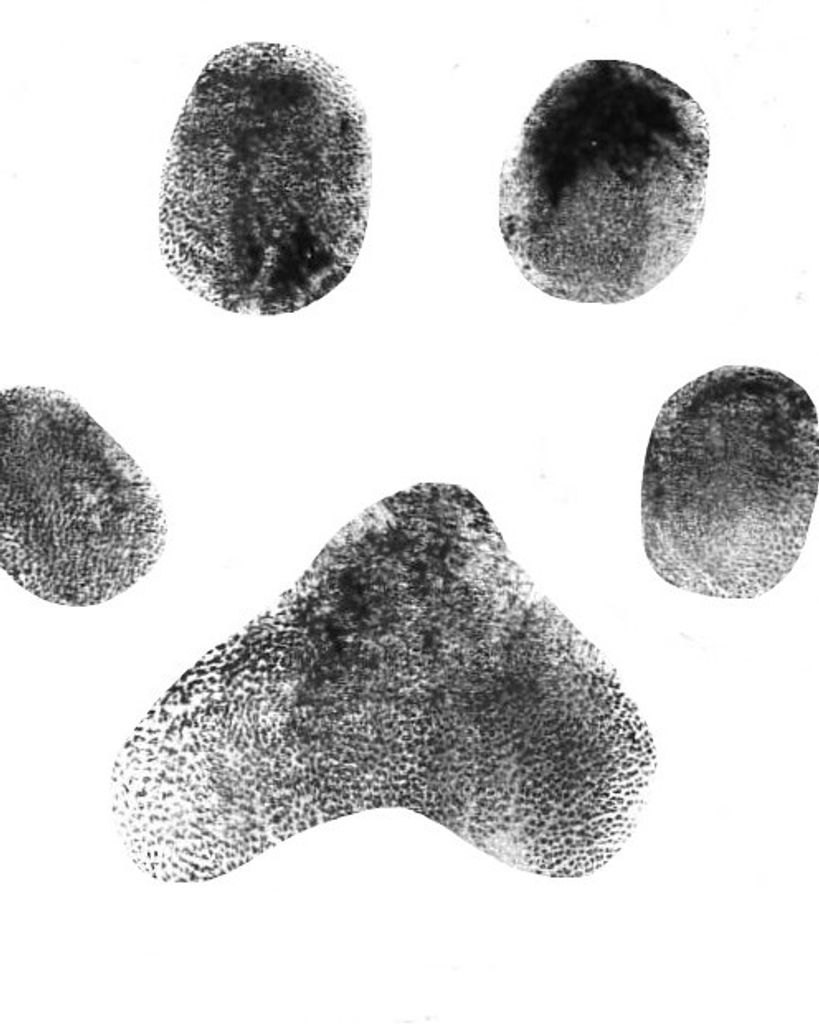 Max Ledford Profile Photo