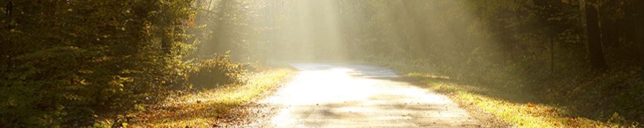 Cover photo for Larry Allan Lane's Obituary
