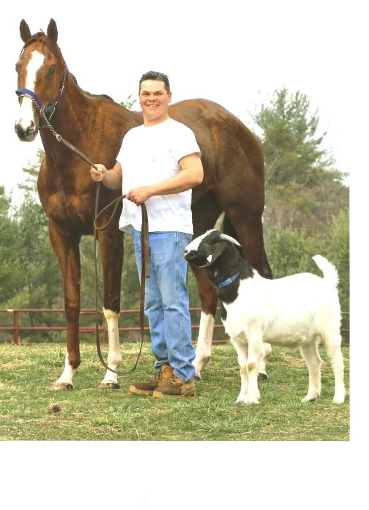 Anthony R. Fulco