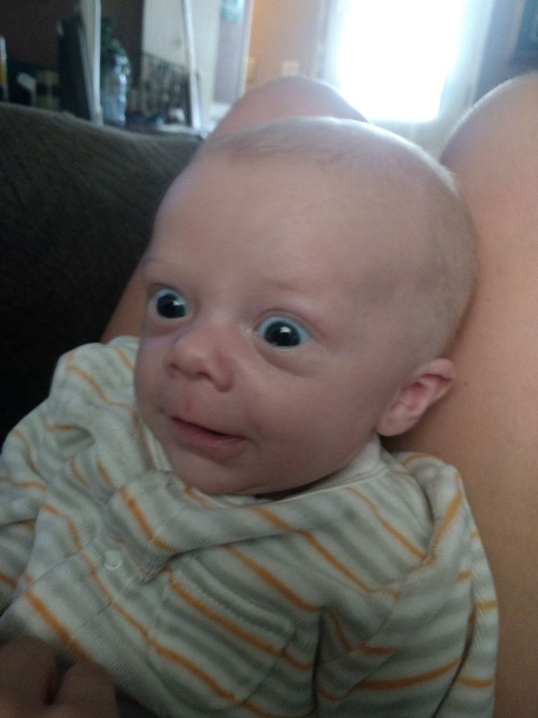 Chase Michael Alexander Hepner Profile Photo