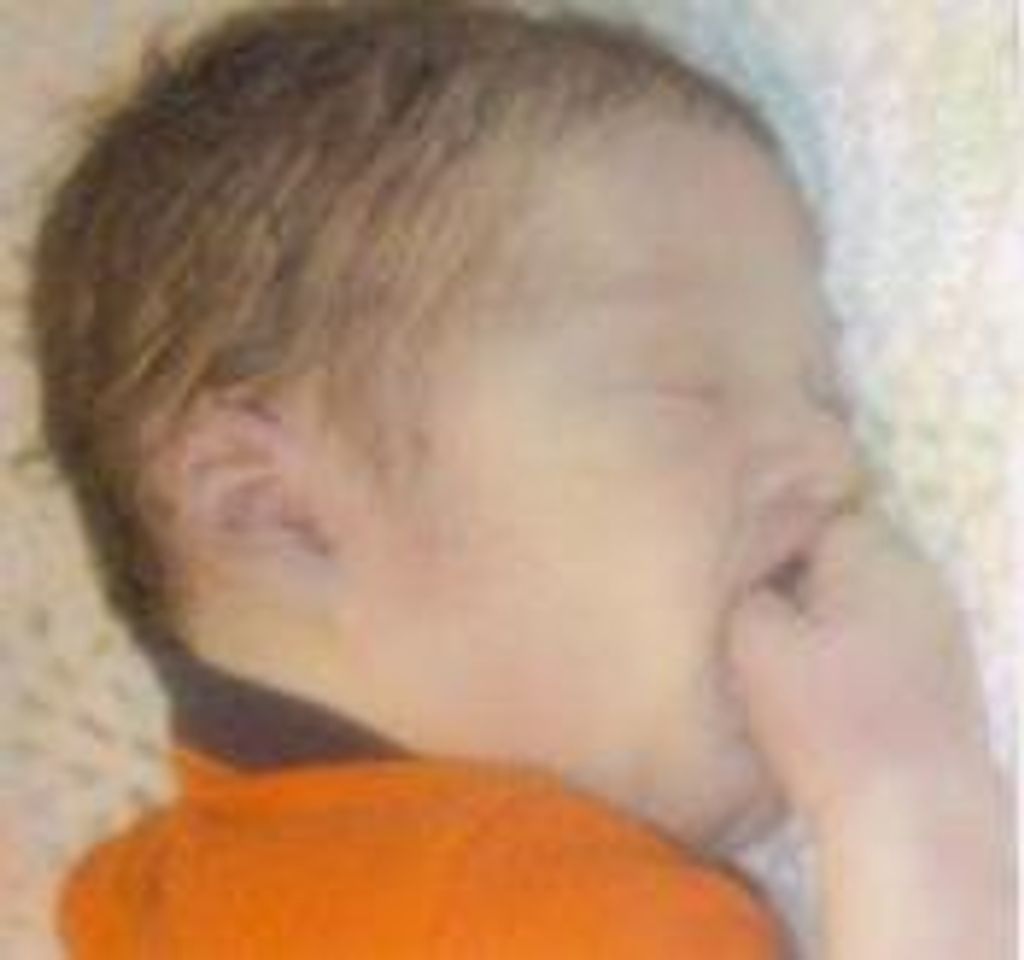 Ty Collin Wheeler Profile Photo