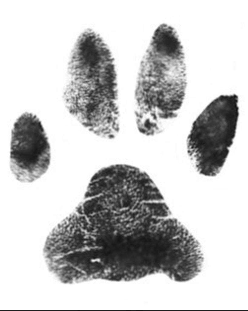 Fop Smith Profile Photo
