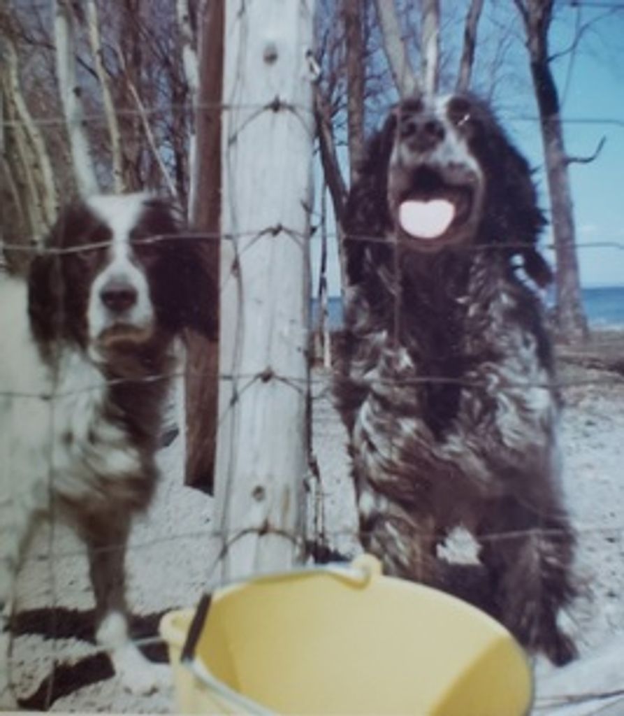 Robert Harmon Jr. Profile Photo