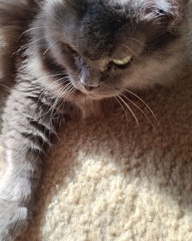 Cleopatra Profile Photo