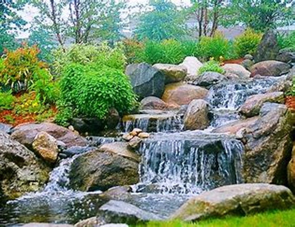 Osaka Nguyen Profile Photo