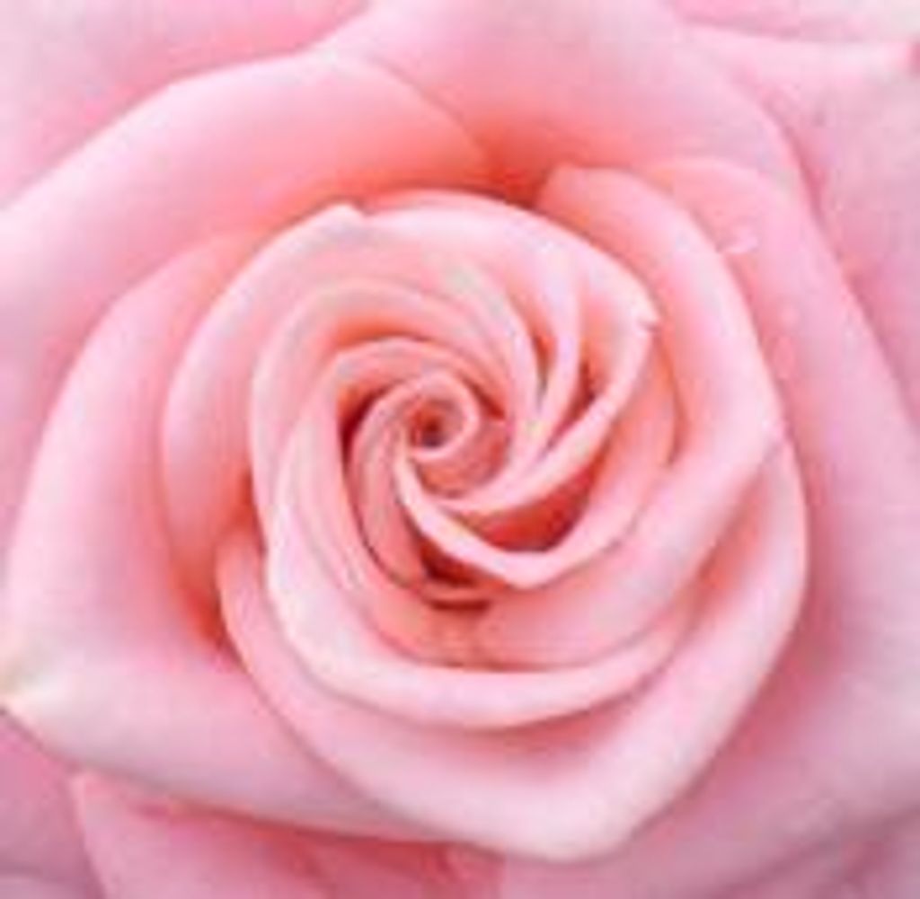 Marvel L. Mcguire Profile Photo