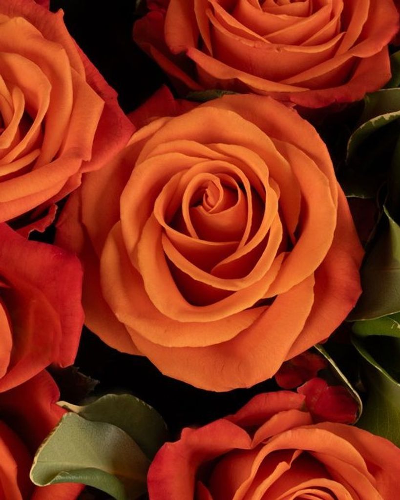 Erin Kathleen Profita Profile Photo