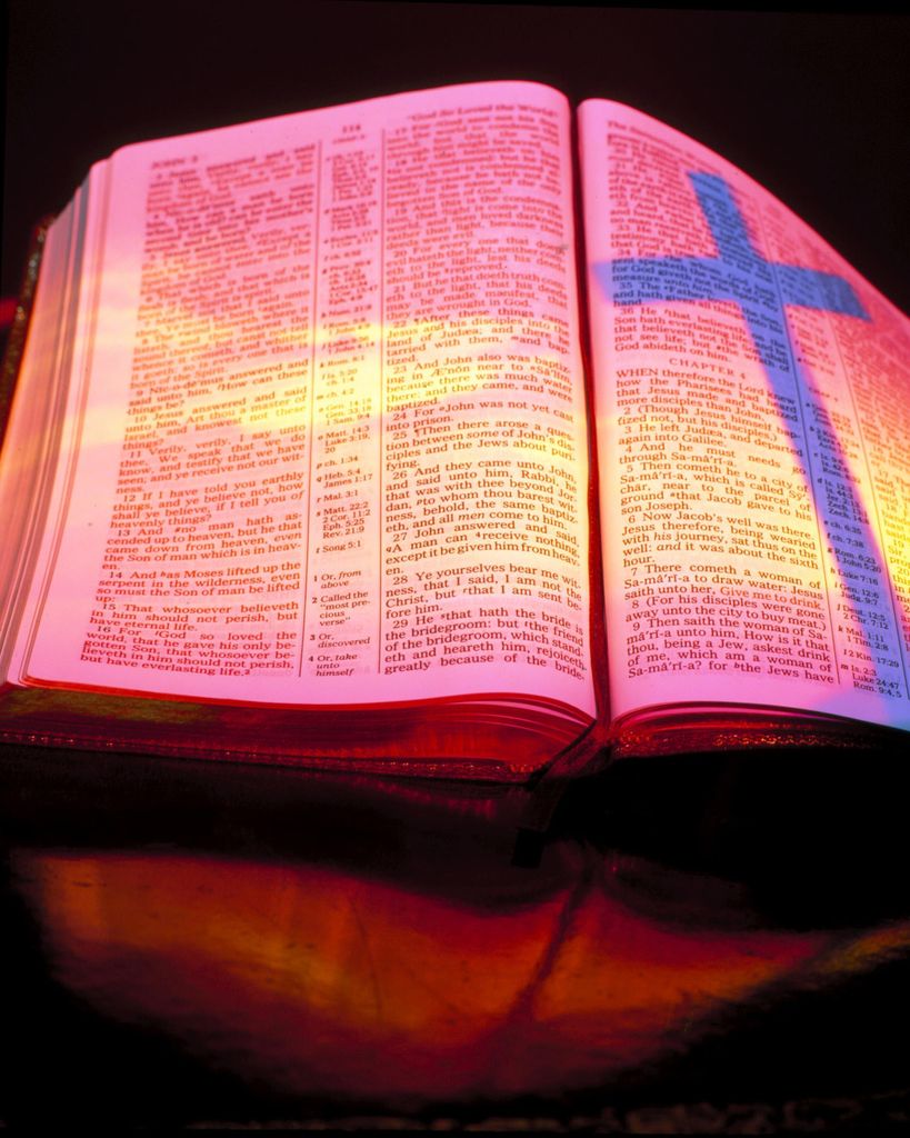 Otto Bolt '82' Profile Photo