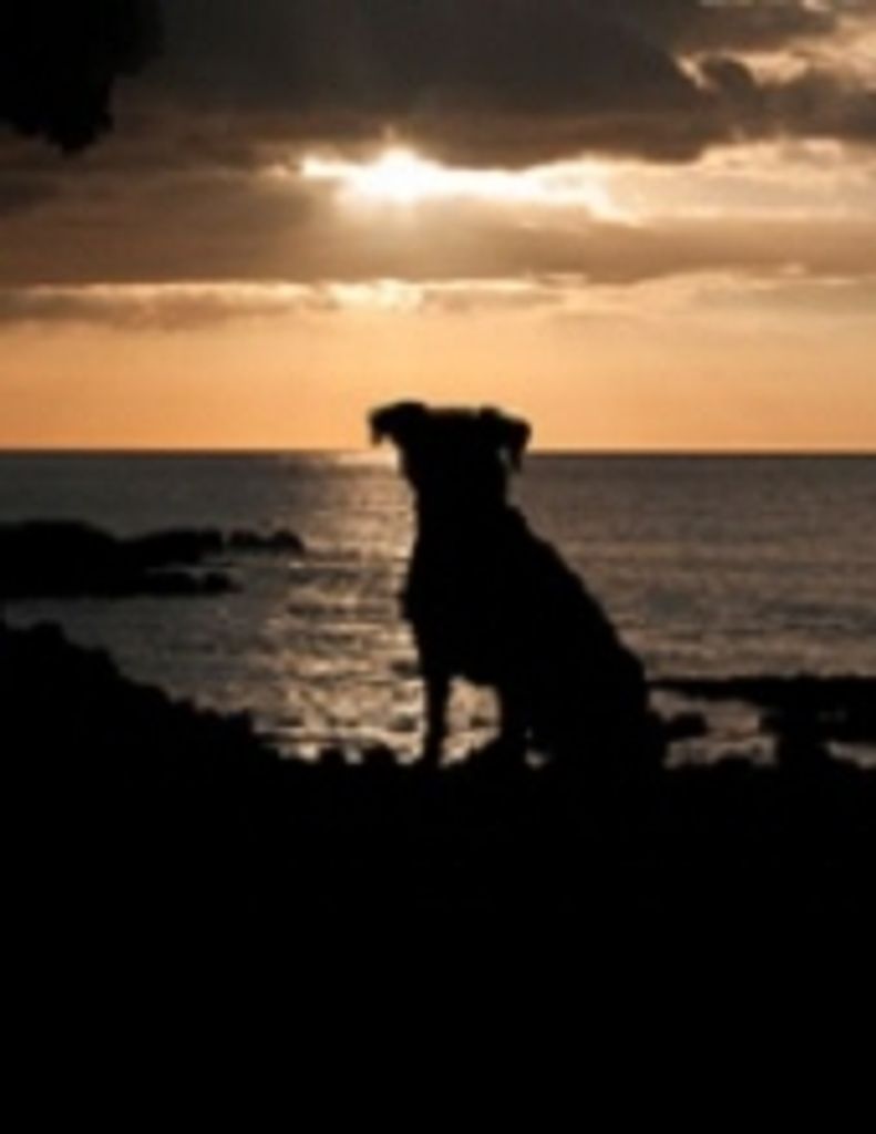 Stonewall Scott Profile Photo