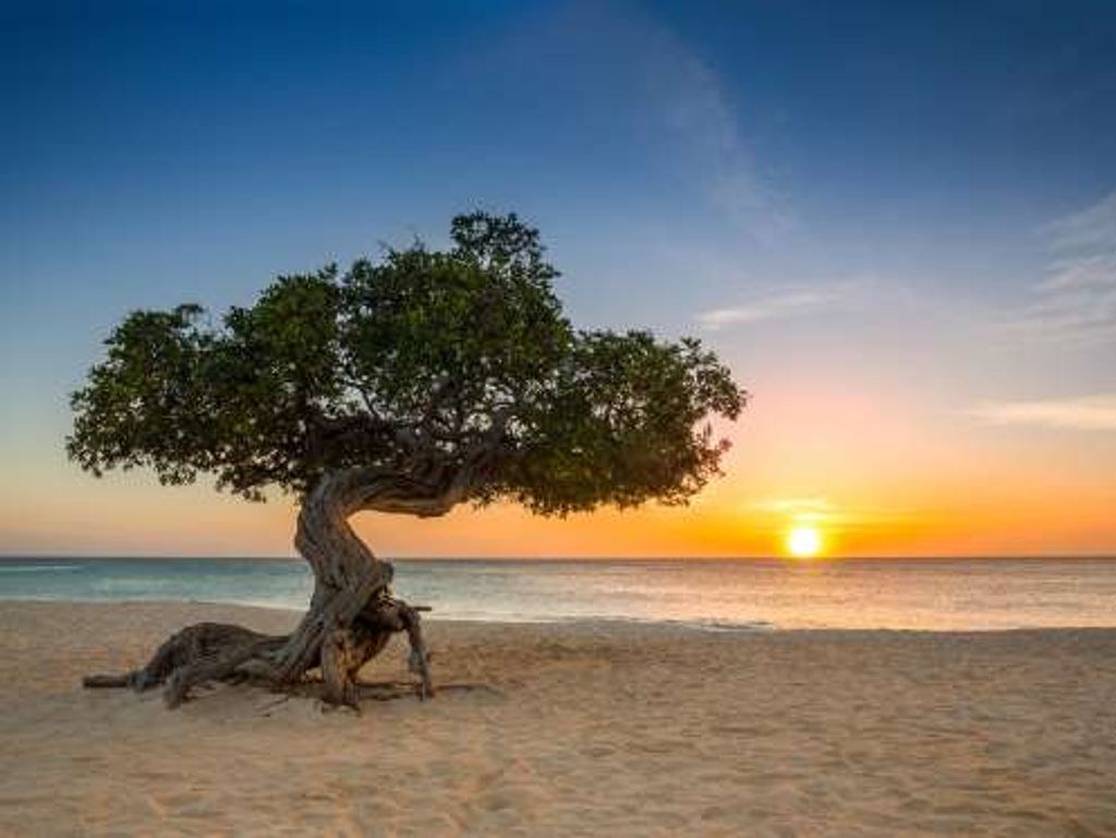 Manuel Luque Profile Photo