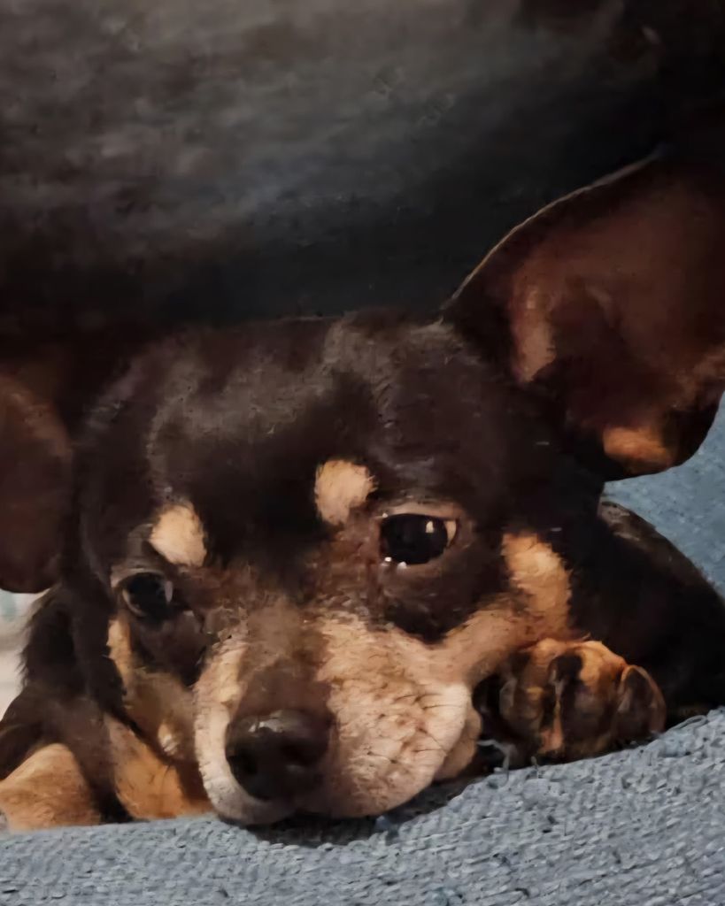 Spanky Jane Evans Profile Photo