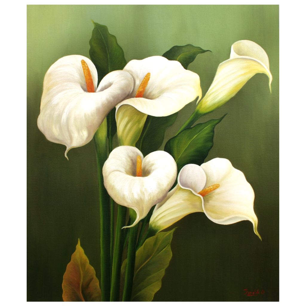 Maria Nunziata Profile Photo