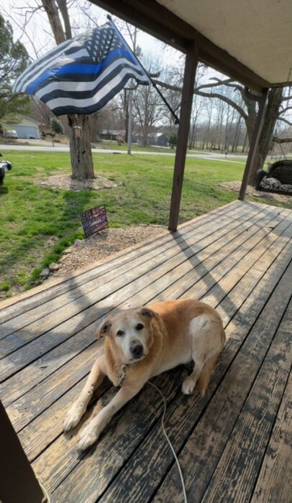 Dexter Baker Profile Photo